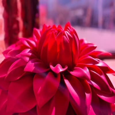 TestNewsTestNewsTestNewsTestNewsTestNewsTestNewsTestNewsTestNewsTestNewsTestNewsTestNewsTestNewsTestNewsTestNewsTestNewsTestNewsTestNewsTestNewsTestNewsTestNewsTestNewsTestNewsTestNewsTestNewsTestNewsTestNewsTestNewsTestNewsTestNewsTestNewsTestNewsTestNewsTestNewsTestNewsTestNewsTestNewsTestNewsTestNewsTestNewsTestNewsTestNewsTestNewsTestNewsTestNewsTestNewsTestNewsTestNewsTestNewsTestNewsTestNewsTestNews